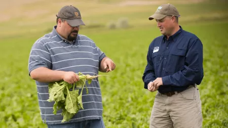 USDA agent working with a farmer in a field